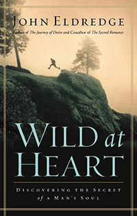 Wild At Heart Review - Book Cover